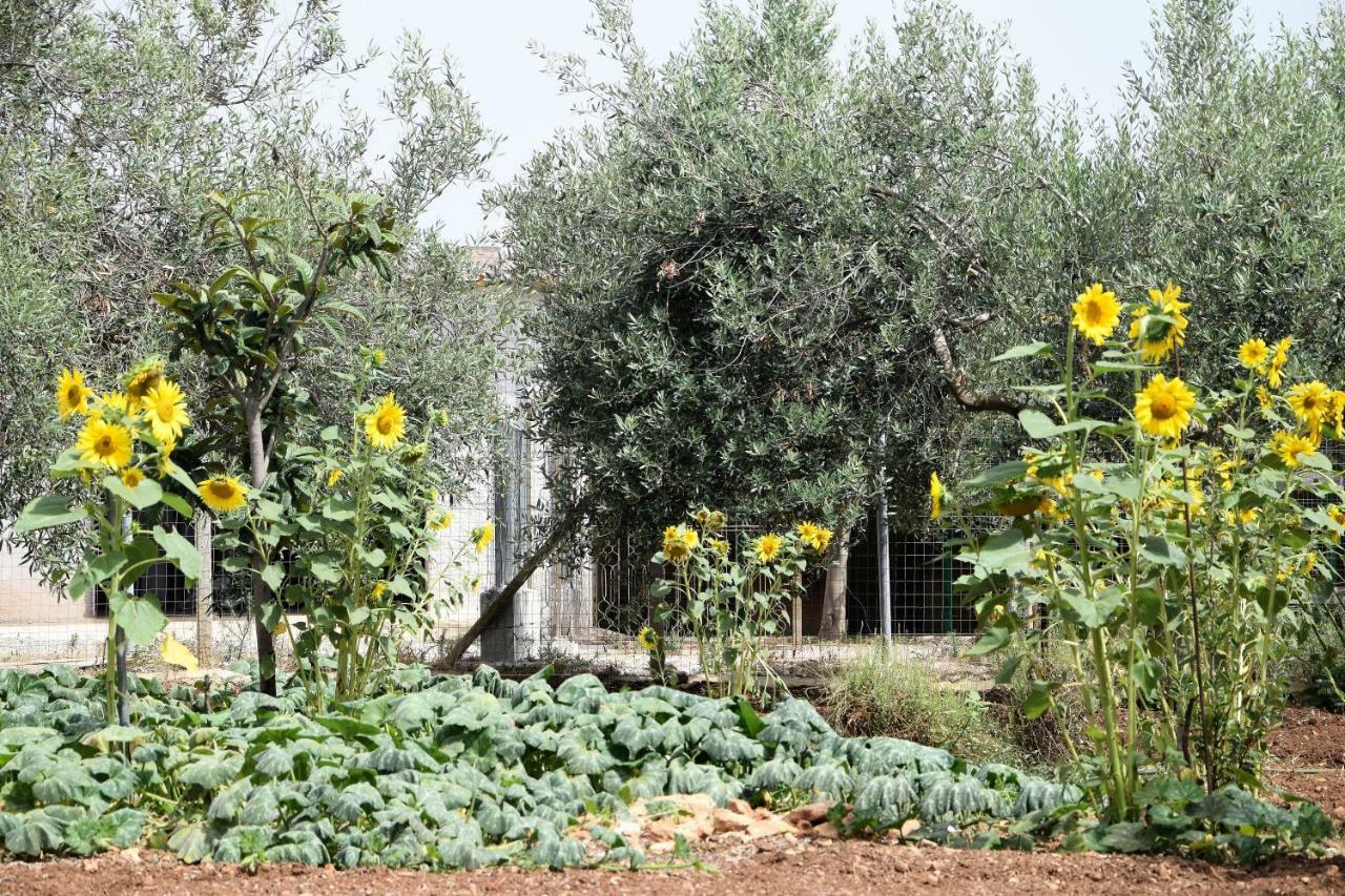 Casa Le Gebbie Villa Марцамеми Екстериор снимка